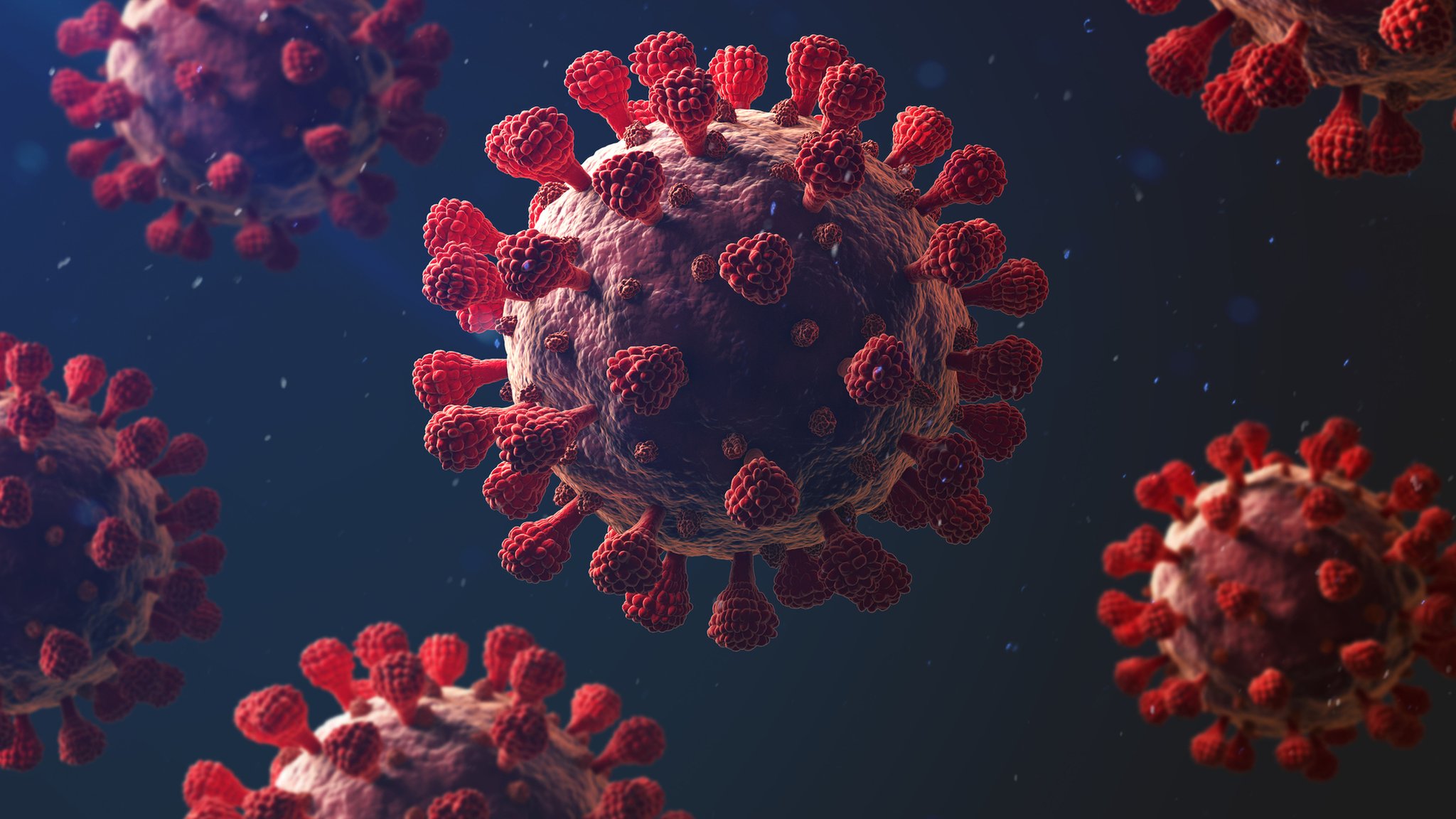 COVID-19 Update 5/1/2020